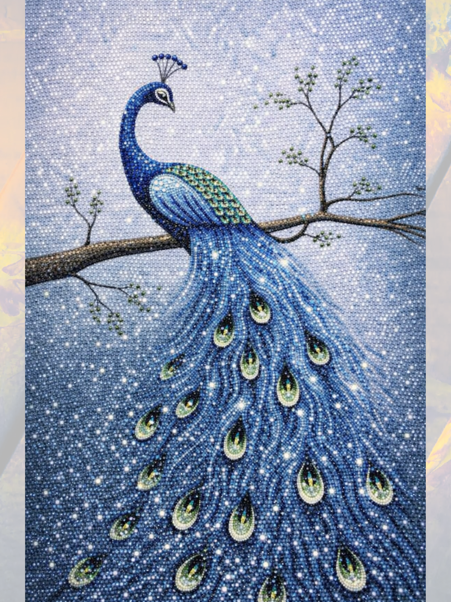 Tavus Kuşu 40x50 cm