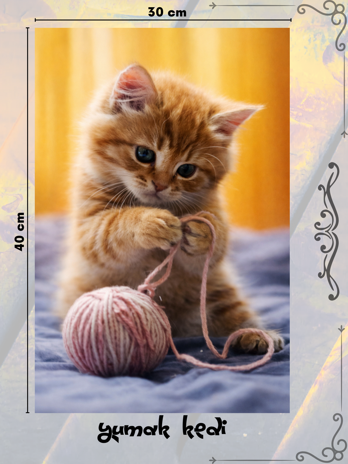 Yumak Kedi 30x40 cm