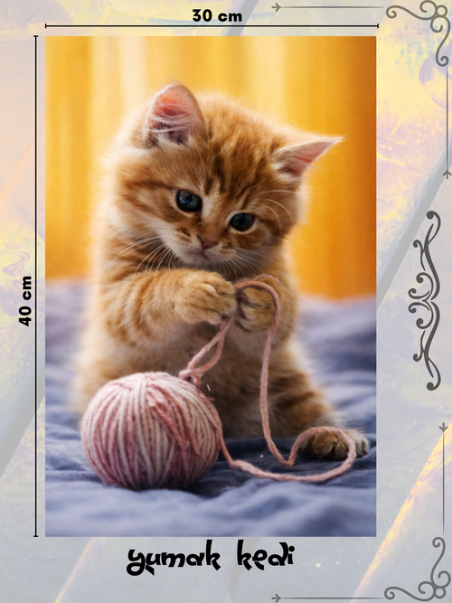 Yumak Kedi 30x40 cm