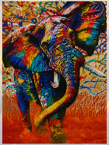 Afrika Renkleri 40x50 cm