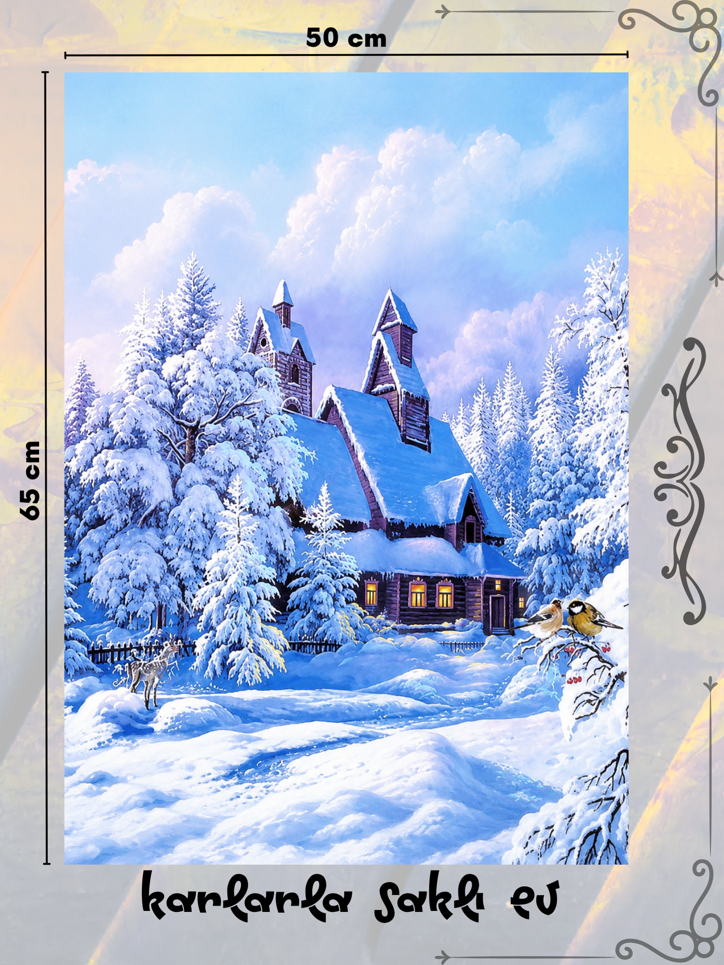 Karlarla Saklı Ev 50x65 cm