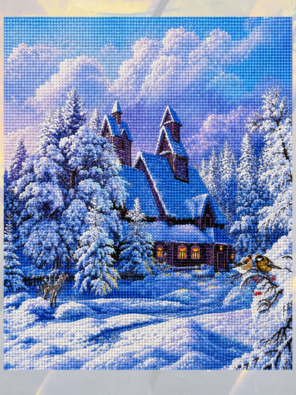 Karlarla Saklı Ev 50x65 cm
