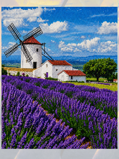 Valensole Rüyası 40x50 cm