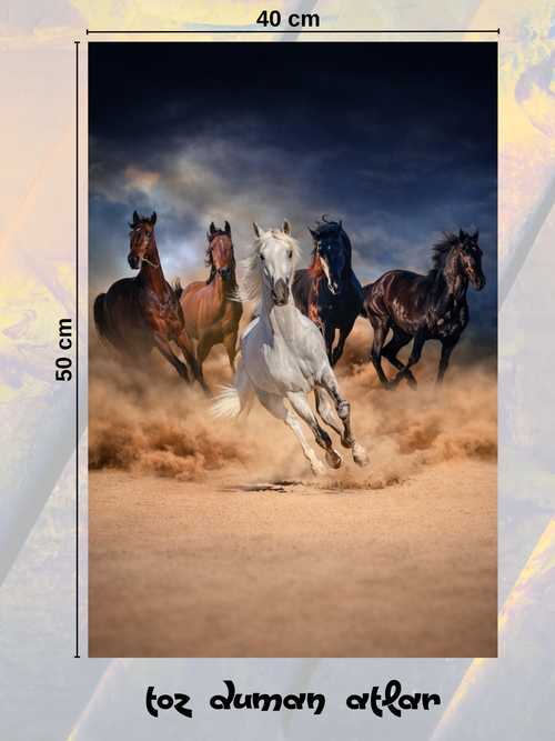 Toz Duman Atlar 40x50 cm