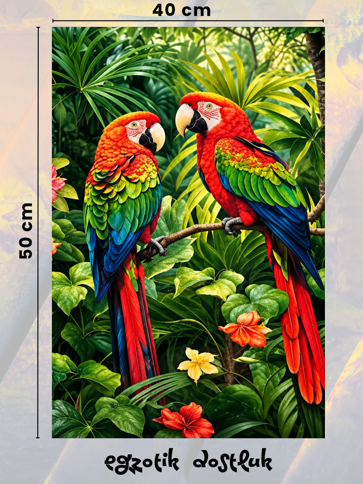 Egzotik Dostluk 40x50 cm